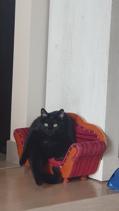 Wiktoriańska sofa/legowisko w stylu  Biedermeier dla lalek/ dla kota
