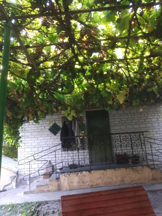 Продам будинок смт Людвинівка вул. Центральна