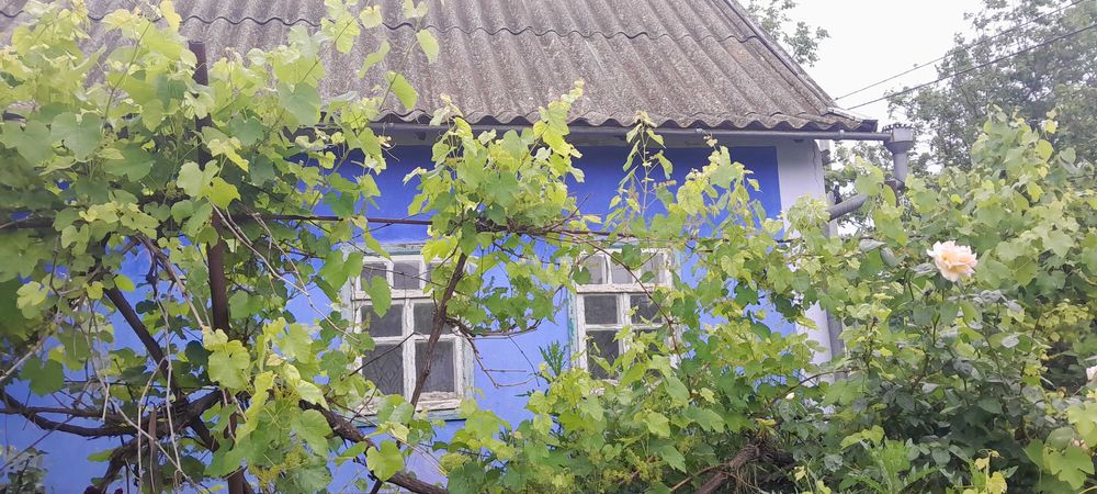 Продам дом в центре Беляевки