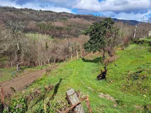 Terreno com mina de água