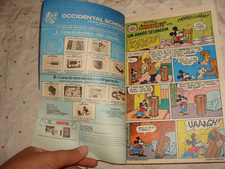 Livro de BD Disney Especial - Nº 71 - Os Amigos