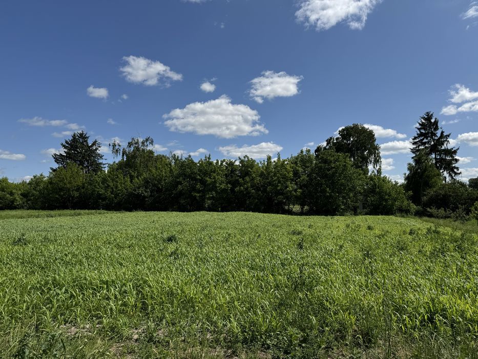 Будинок з магазином, 31сотих землі