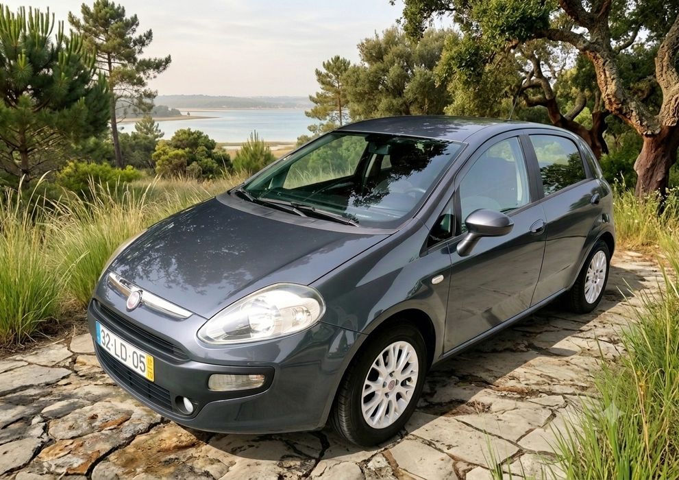 Fiat Punto evo 1.2