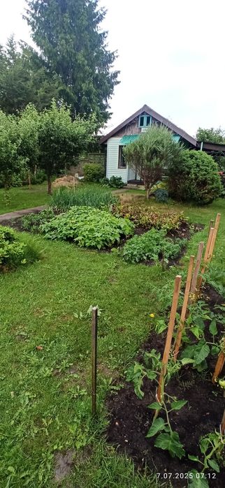 Działka rekreacyjna ROD