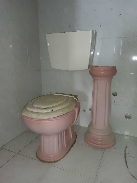 Pé lavatório em loiças rosa WC Valadares
