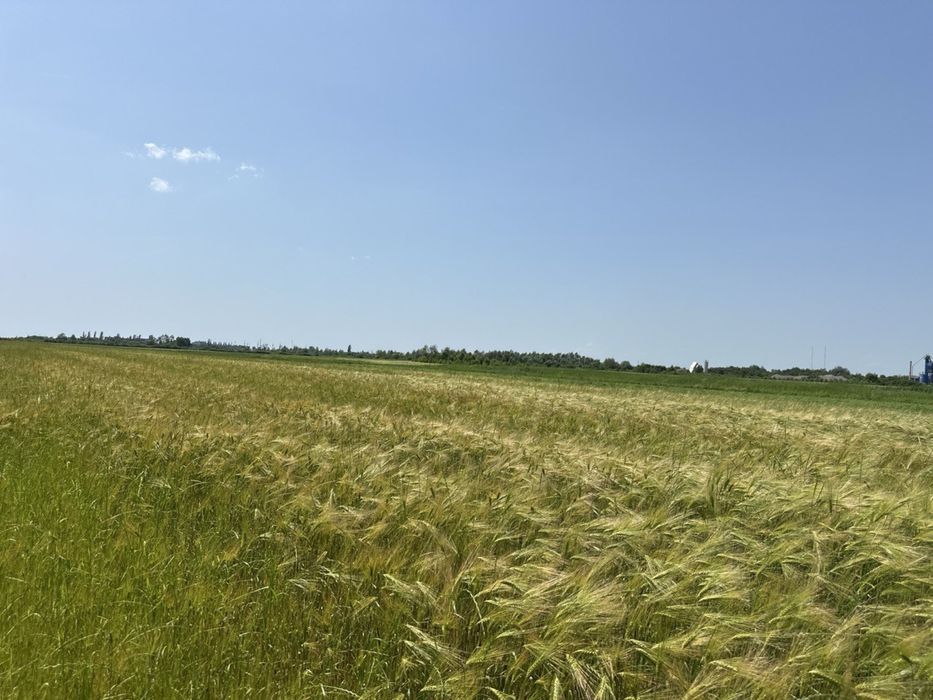 Продаж унікальної земельної ділянки 2 га! Комерційне призначення!