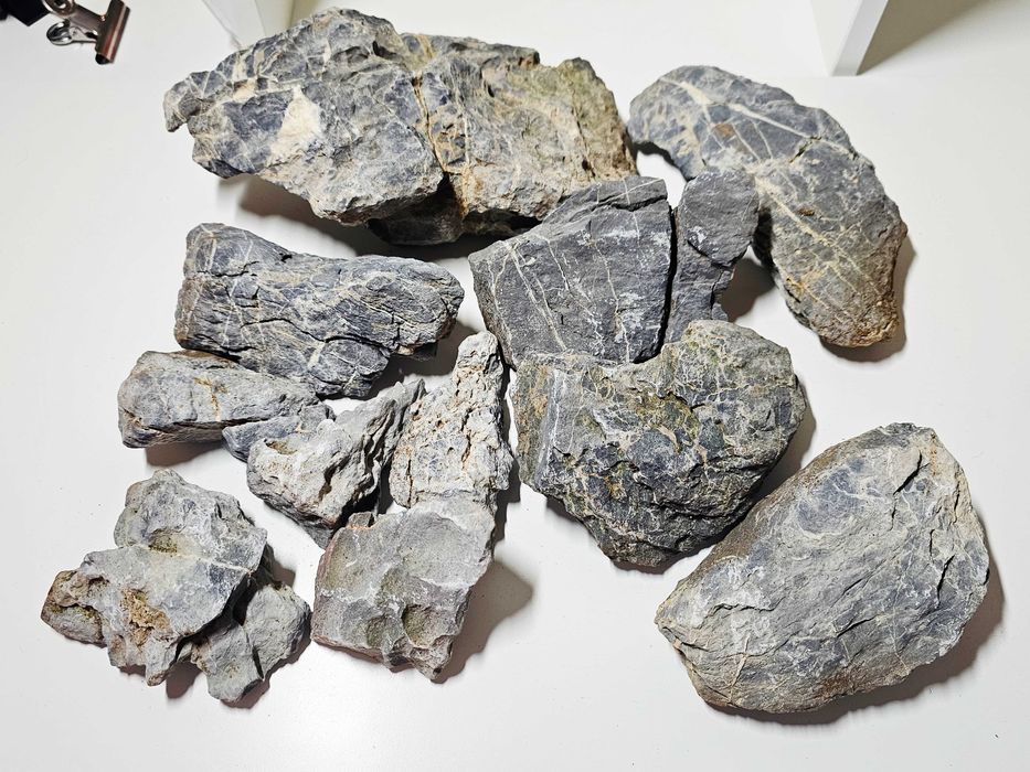 Kit CO₂ para Aquário – Completo e em Excelente Estado