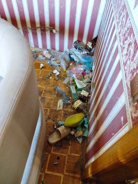 Прибирання квартир та будинків / Клінінг / Хімчистка меблів