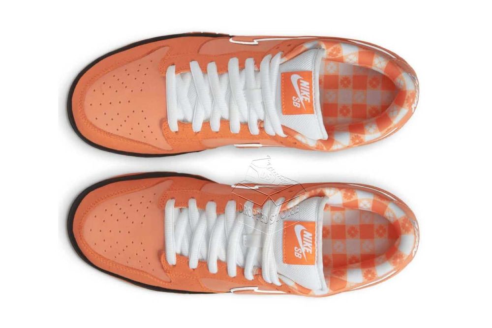 Nike SB DUNK Low Concepts Orange Lobster | FD8776–800
