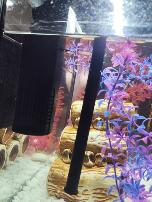 Акваріум 20 літрів