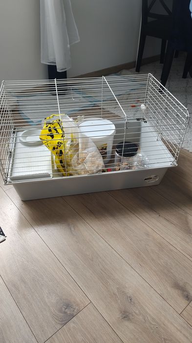 Klatka dla świnki morskiej, chomika, szynszyla