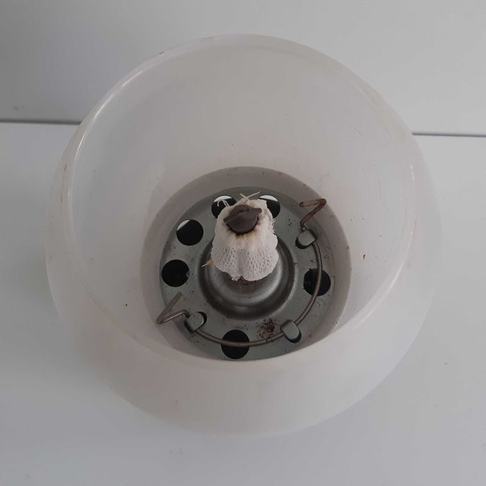 Pequeno petromax Candeeiro Portátil a Gás Camping Gaz p/ Campismo