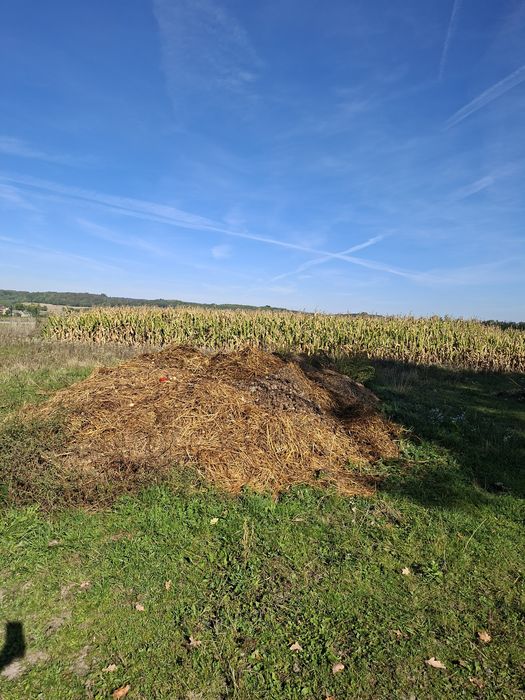 Obornik koński za słome