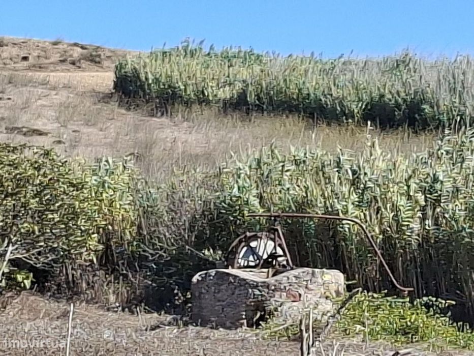 Terrenos Rústicos com 10.760 m2, Raposeira – Vila do Bispo