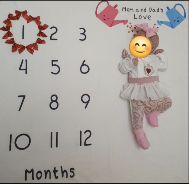 Фотопелюшка/ фото по месяцам/ фотопеленка/ для фотосессии