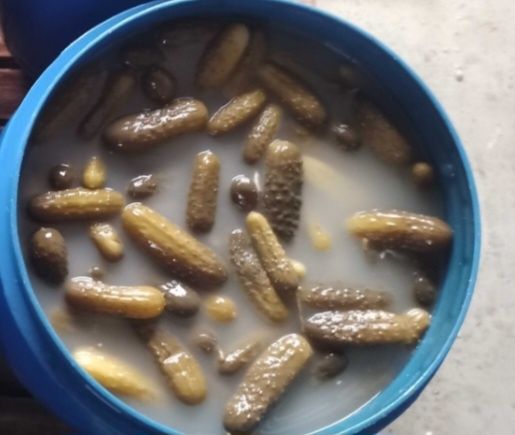 Ogórki kiszone receptura naturalna