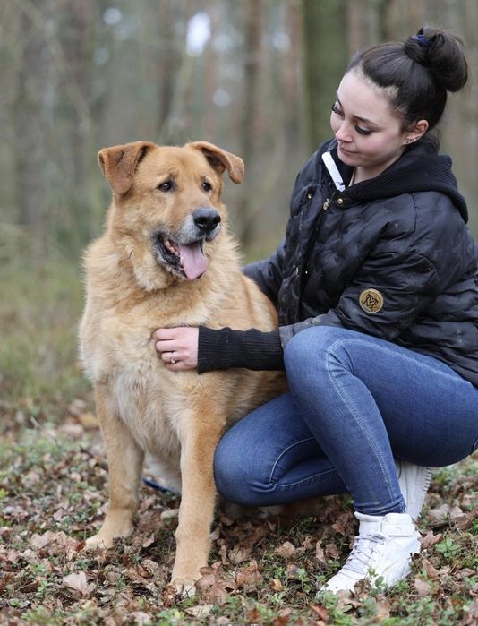 Piesek okolo 8 lat