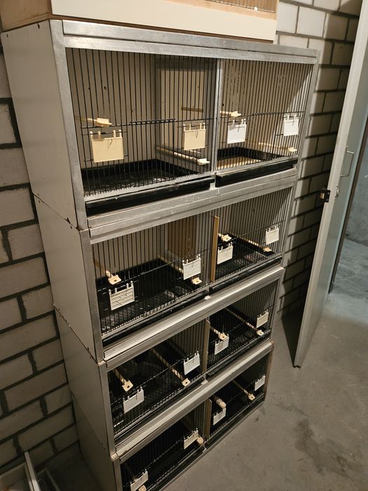 Regał dla ptaków papug kanarków