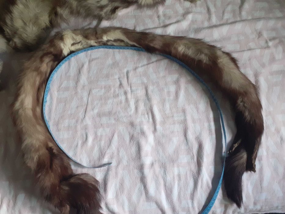 Piekny szal z lisa z nogami.