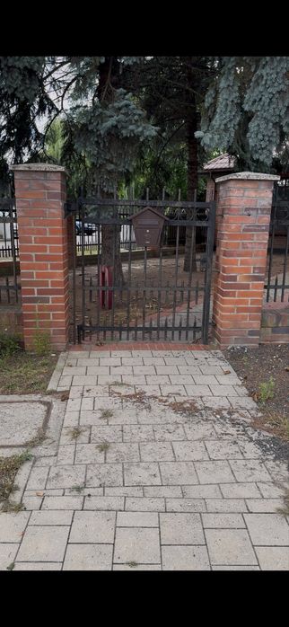 Zdjęcie 2