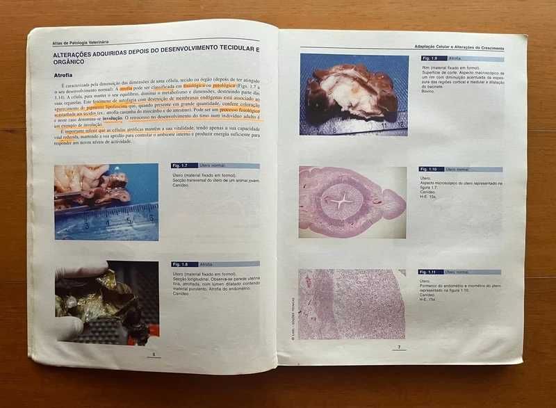 Atlas de Patologia Veterinária - Biopatologia