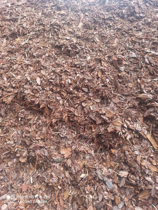 Kora sosnowa, ogrodowa