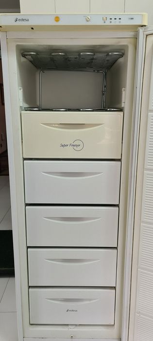 Arca congeladora vertical, marca Edesa