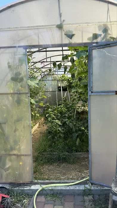 продам дом/дачу в Новосёловке с шикарным участком