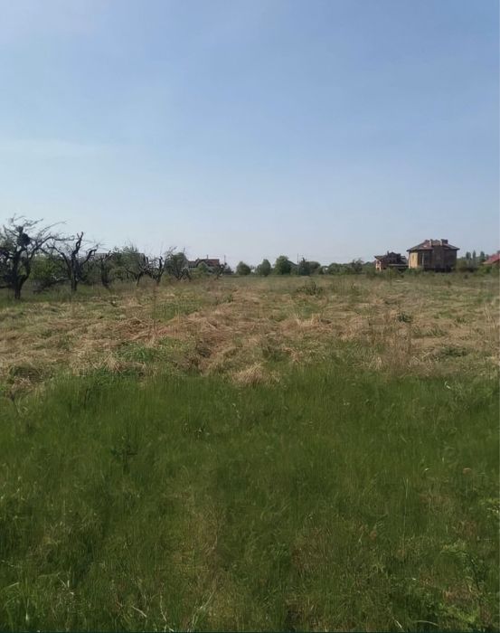 Продам земельну ділянку в с.Личанка Бучанського району 0,25 на вулиці Прорізна