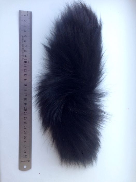 Хвостик песцевий