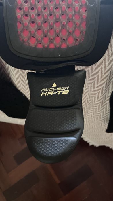 Protecao Costas Lombar Alpine Stars