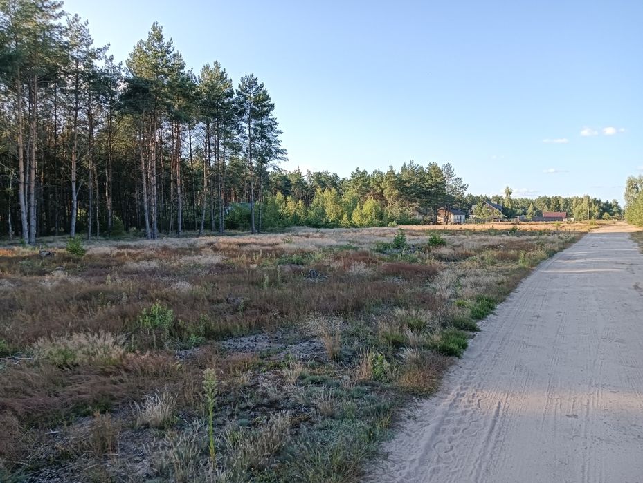 Zdjęcie 7