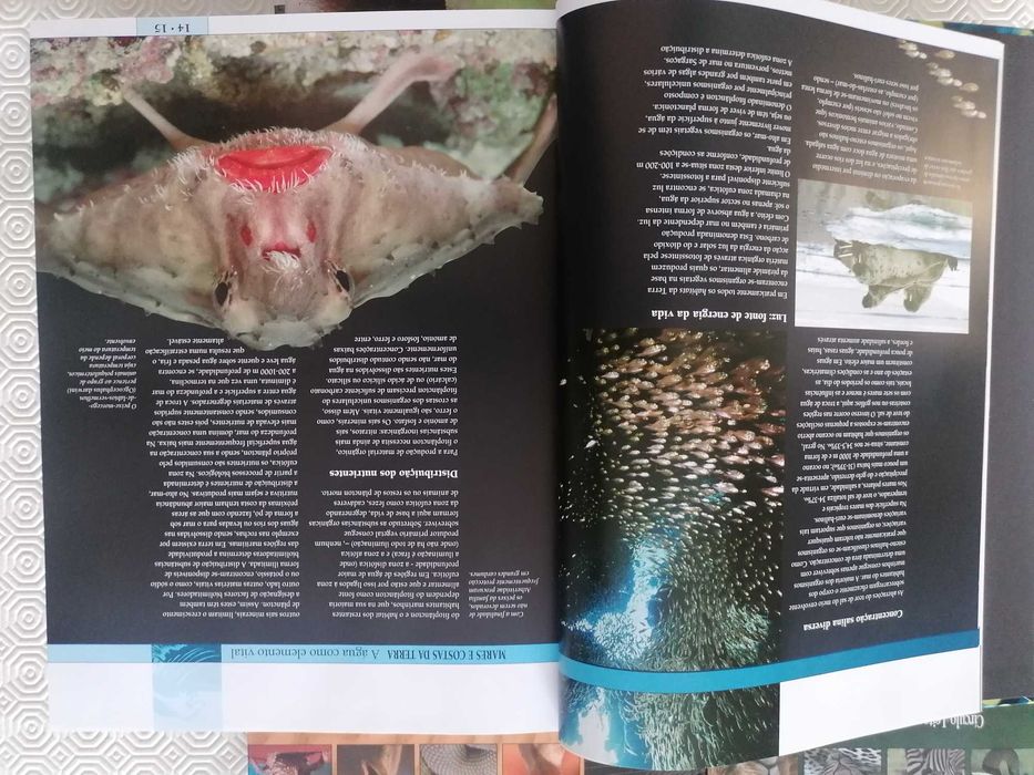 Coleção Livros "Paraísos Animais" - Circulo de Leitores