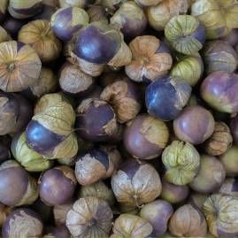 Sementes de aromáticas e hortícolas biológicas certificadas