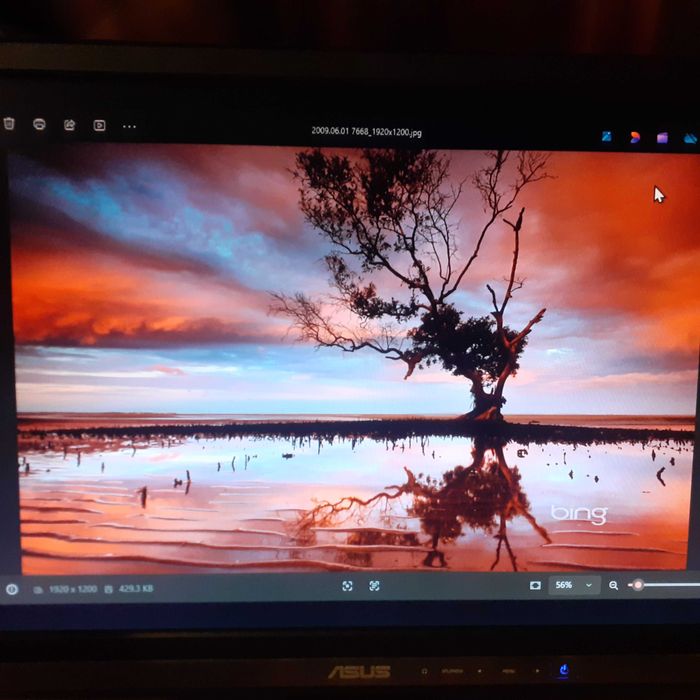 monitor 22" Asus MW221U