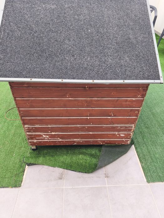 Casa para cao para quintal ou terraço