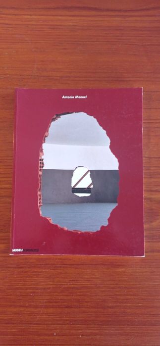 Antonio Manuel, Museu Serralves