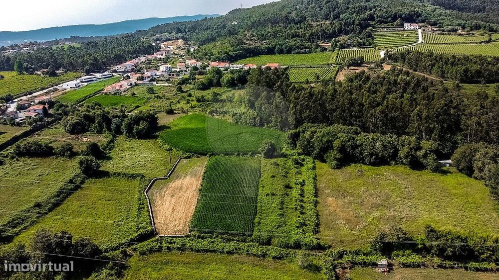 Terreno  para venda