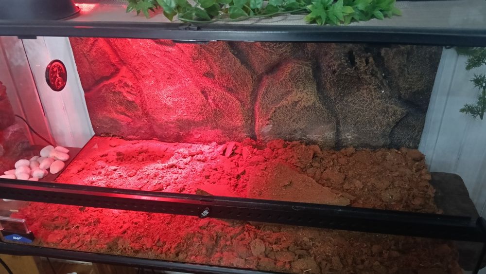 Terrário grande exoterra