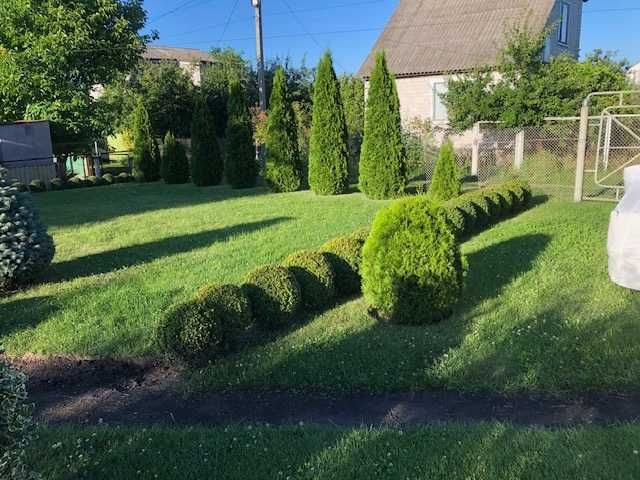 Дачна ділянка, СТ Фотон