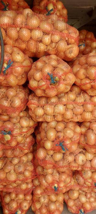 Продам цибулю на зберігання