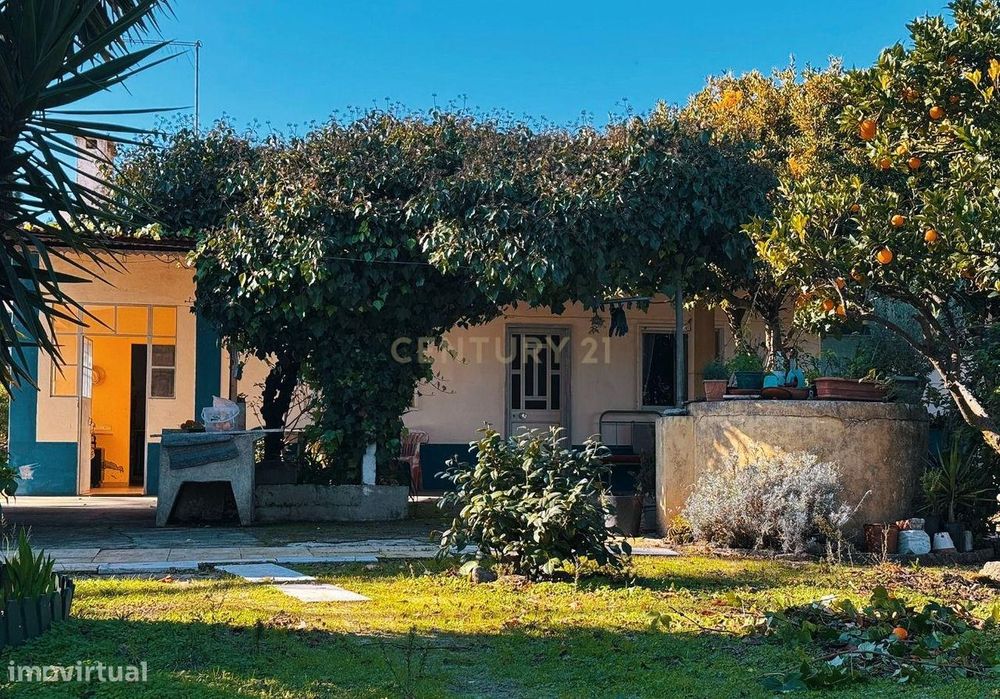 Quinta com possibilidade de investimento