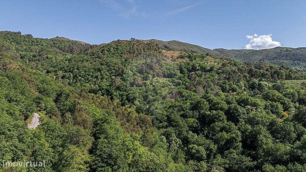 Terreno  para venda