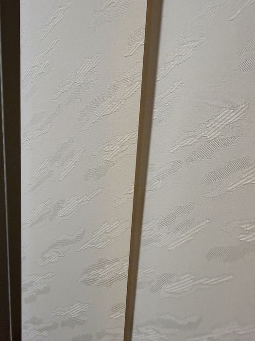 Вертикальні жалюзі