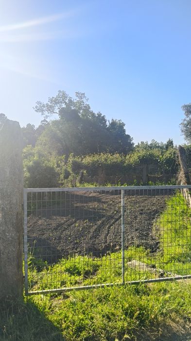 Arrendo terreno agrícola