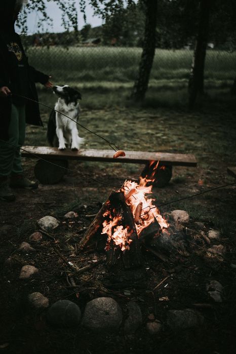 Dom LAS 2 - domek na wynajem, 100% prywatności, jakuzzi 24h/dobę, ognisko, grill,  Jeziorsko