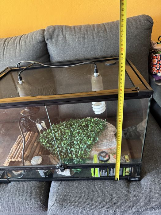 Terrario para Repteis