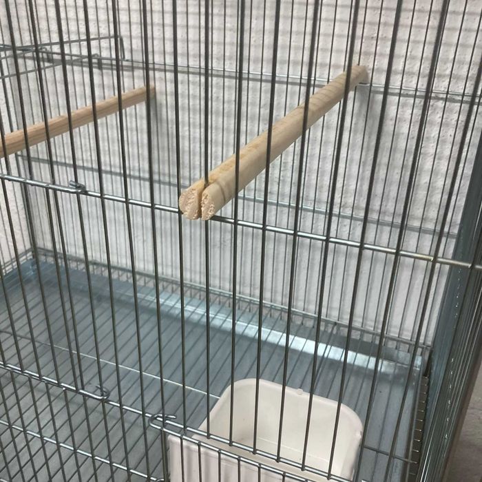 NOVO - Gaiola Zincada para Agapornis 60x55x36cm