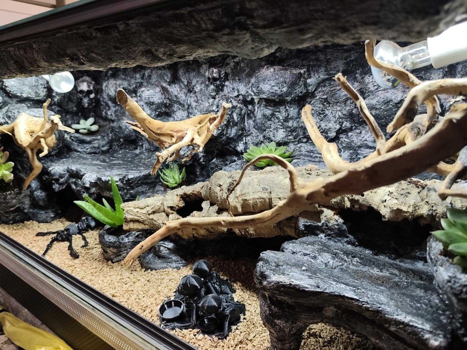 Terrarium stepowe - 100x40x40