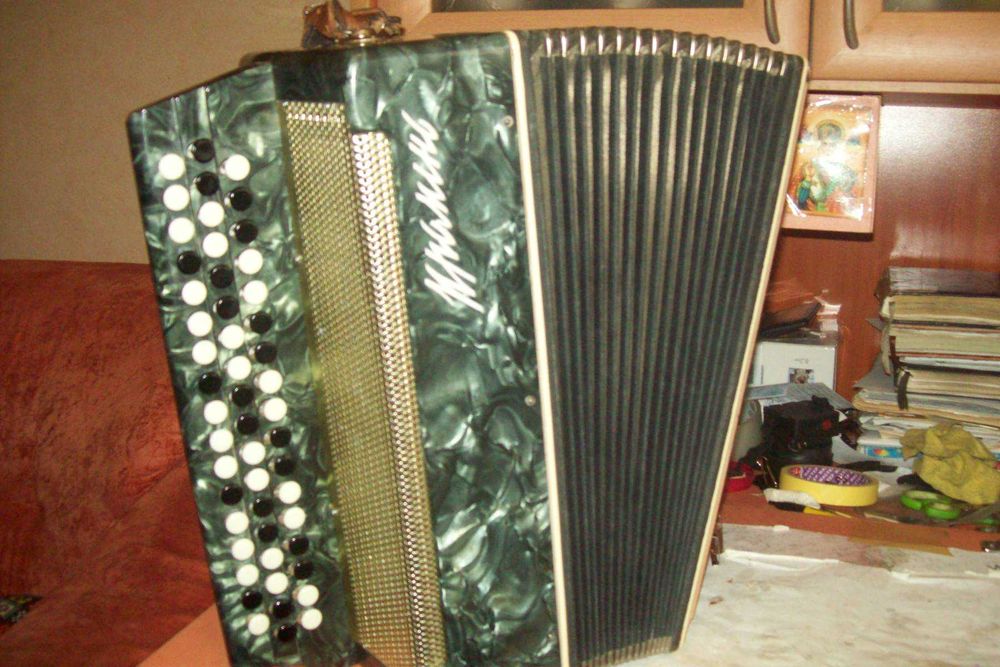 Подарочные баяны бери и играй